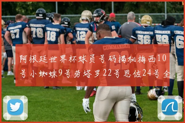 阿根廷世界杯球员号码揭秘梅西10号小蜘蛛9号劳塔罗22号恩佐24号全解析
